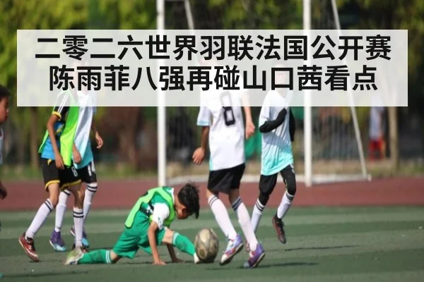 二零二六世界羽联法国公开赛陈雨菲八强再碰山口茜看点 | Kaiyun Sports